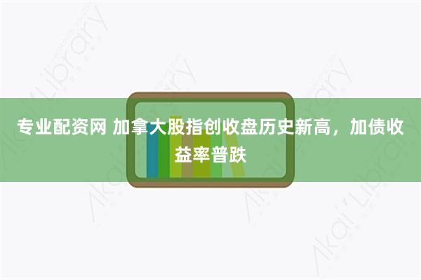 专业配资网 加拿大股指创收盘历史新高，加债收益率普跌