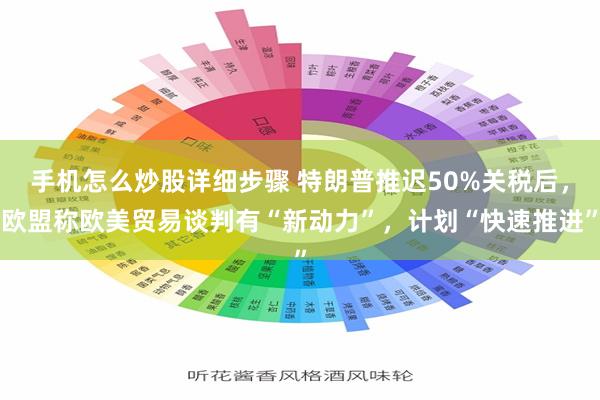 手机怎么炒股详细步骤 特朗普推迟50%关税后，欧盟称欧美贸易谈判有“新动力”，计划“快速推进”