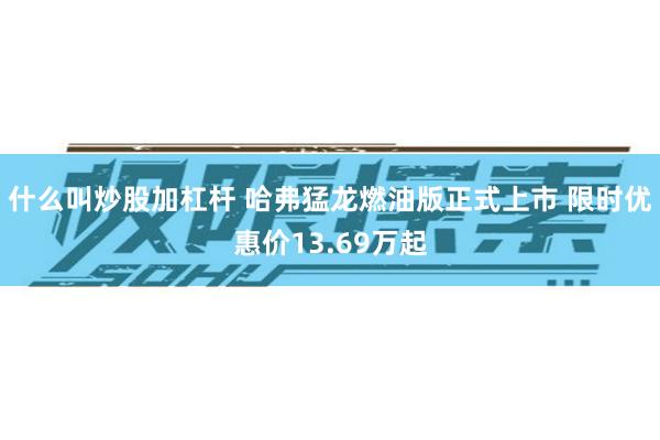 什么叫炒股加杠杆 哈弗猛龙燃油版正式上市 限时优惠价13.69万起