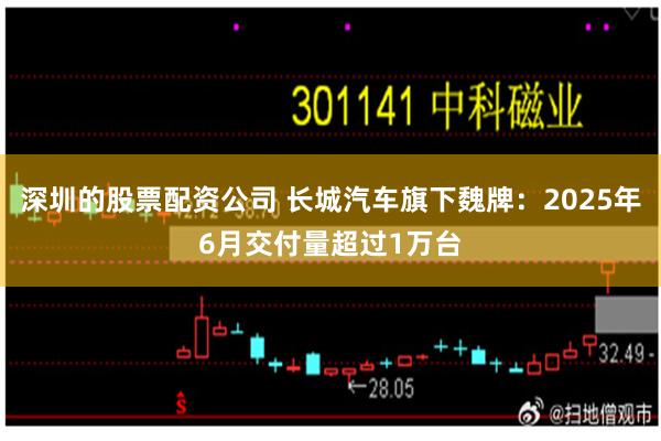 深圳的股票配资公司 长城汽车旗下魏牌：2025年6月交付量超过1万台