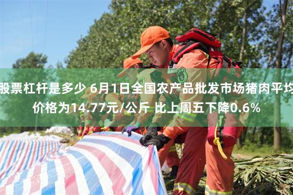 股票杠杆是多少 6月1日全国农产品批发市场猪肉平均价格为14.77元/公斤 比上周五下降0.6%