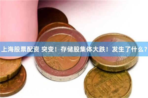 上海股票配资 突变！存储股集体大跌！发生了什么？