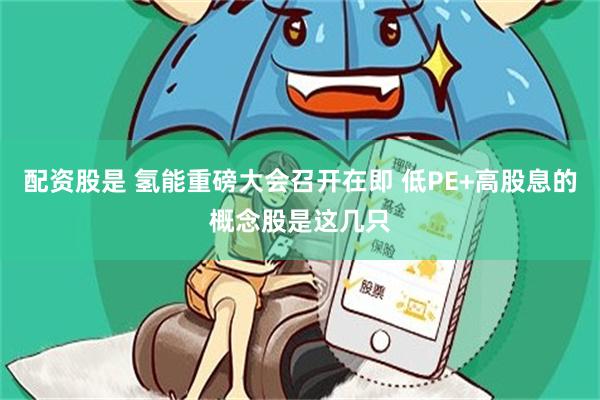 配资股是 氢能重磅大会召开在即 低PE+高股息的概念股是这几只