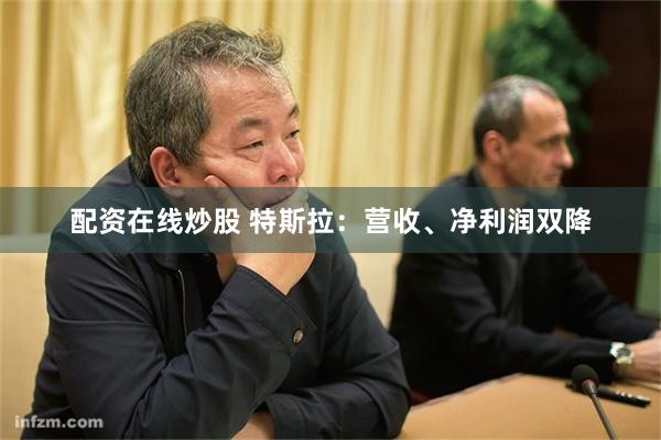 配资在线炒股 特斯拉：营收、净利润双降