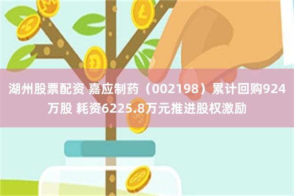 湖州股票配资 嘉应制药（002198）累计回购924万股 耗资6225.8万元推进股权激励