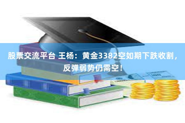 股票交流平台 王杨：黄金3382空如期下跌收割，反弹弱势仍需空！