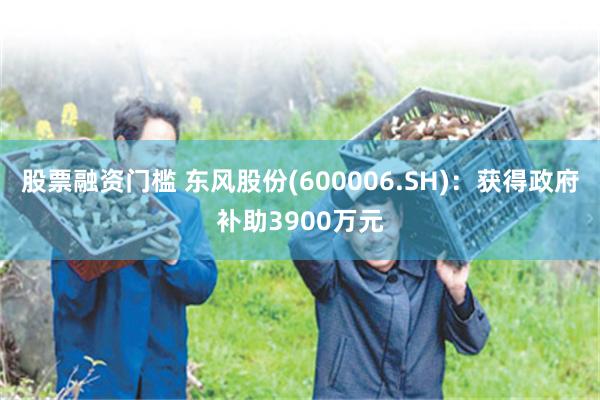 股票融资门槛 东风股份(600006.SH)：获得政府补助3900万元