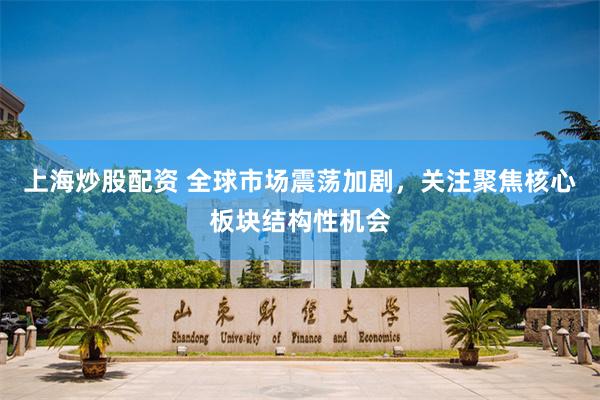 上海炒股配资 全球市场震荡加剧，关注聚焦核心板块结构性机会