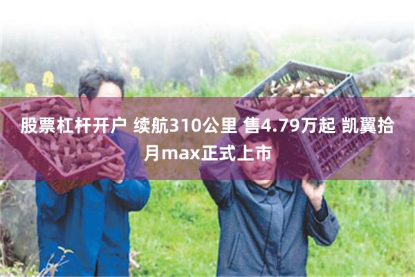 股票杠杆开户 续航310公里 售4.79万起 凯翼拾月max正式上市