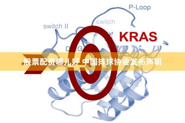 股票配资哪儿好 中国排球协会发布声明