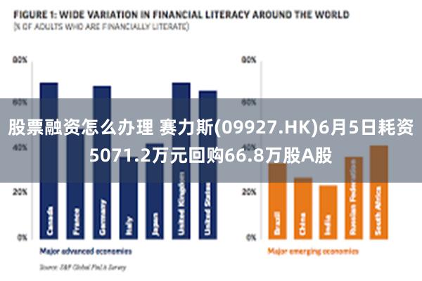 股票融资怎么办理 赛力斯(09927.HK)6月5日耗资5071.2万元回购66.8万股A股