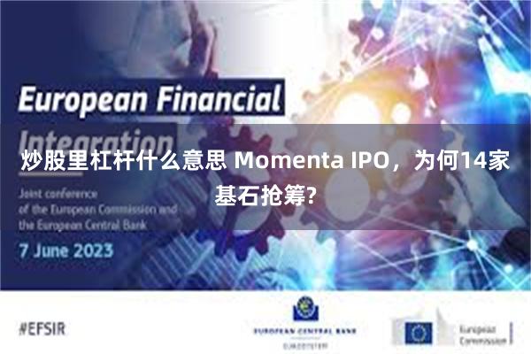 炒股里杠杆什么意思 Momenta IPO,为何14家基石抢筹?