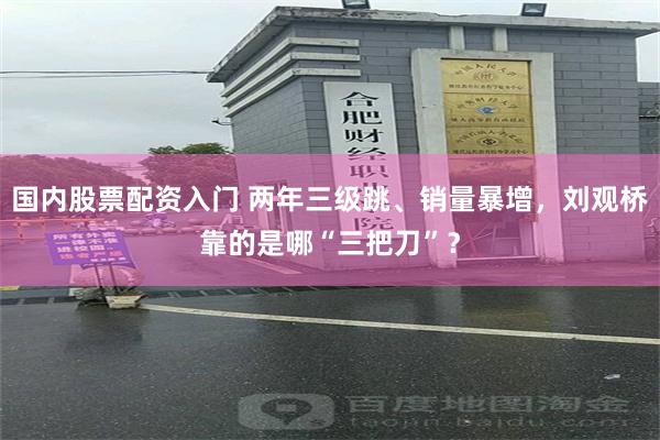 国内股票配资入门 两年三级跳、销量暴增，刘观桥靠的是哪“三把刀”？