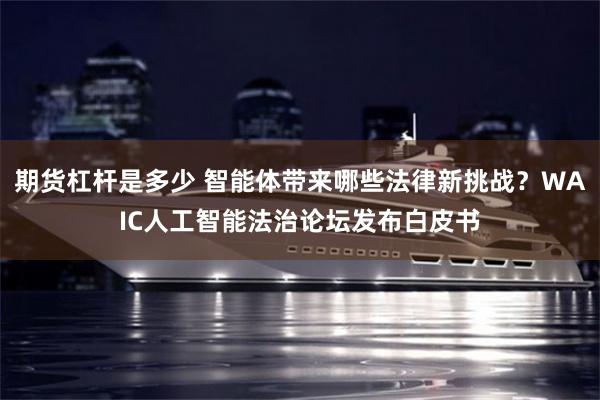 期货杠杆是多少 智能体带来哪些法律新挑战？WAIC人工智能法治论坛发布白皮书