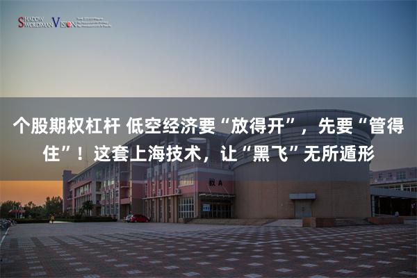 个股期权杠杆 低空经济要“放得开”,先要“管得住”!这套上海技术,让“黑飞”无所遁形