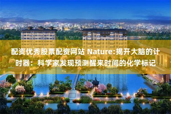 配资优秀股票配资网站 Nature:揭开大脑的计时器:科学家发现预测醒来时间的化学标记