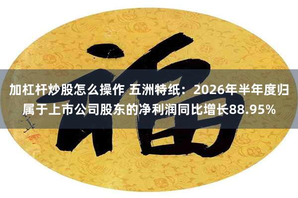 加杠杆炒股怎么操作 五洲特纸：2026年半年度归属于上市公司股东的净利润同比增长88.95%