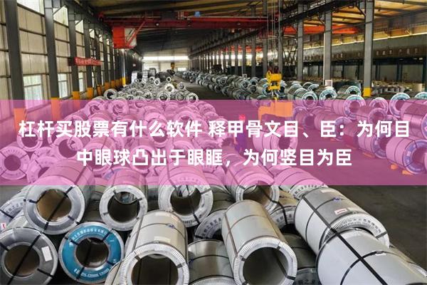 杠杆买股票有什么软件 释甲骨文目、臣：为何目中眼球凸出于眼眶，为何竖目为臣