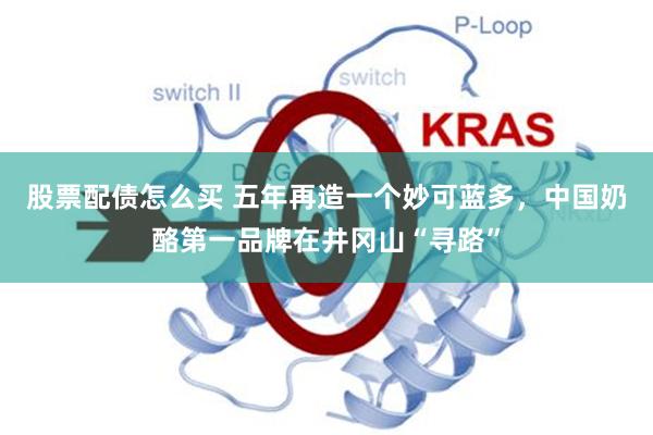 股票配债怎么买 五年再造一个妙可蓝多，中国奶酪第一品牌在井冈山“寻路”