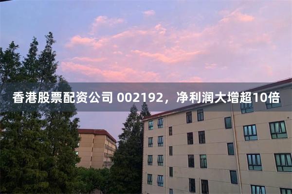香港股票配资公司 002192，净利润大增超10倍