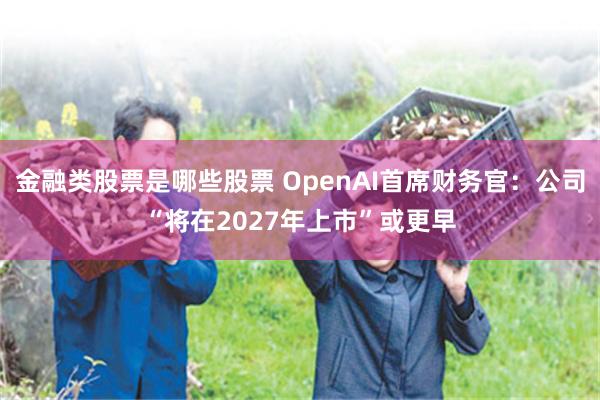 金融类股票是哪些股票 OpenAI首席财务官：公司“将在2027年上市”或更早