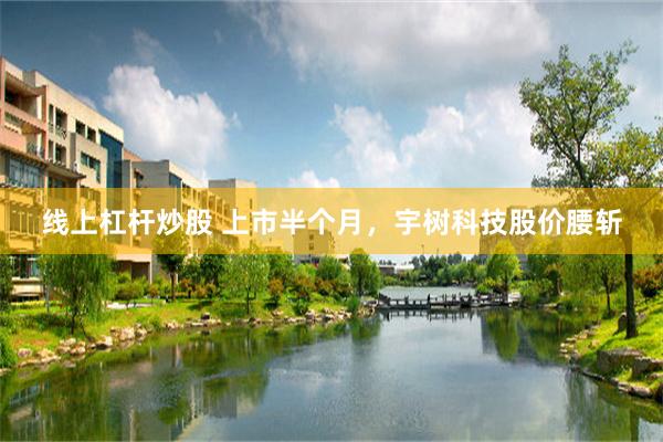 线上杠杆炒股 上市半个月，宇树科技股价腰斩
