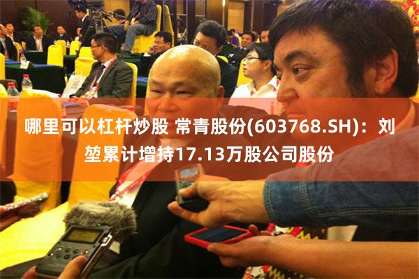 哪里可以杠杆炒股 常青股份(603768.SH)：刘堃累计增持17.13万股公司股份