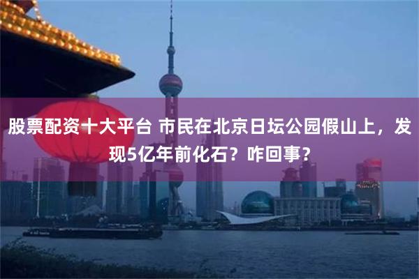 股票配资十大平台 市民在北京日坛公园假山上，发现5亿年前化石？咋回事？