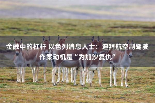 金融中的杠杆 以色列消息人士：迪拜航空副驾驶作案动机是“为加沙复仇”