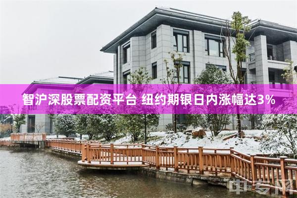 智沪深股票配资平台 纽约期银日内涨幅达3%