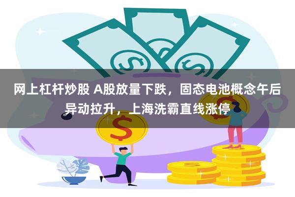 网上杠杆炒股 A股放量下跌，固态电池概念午后异动拉升，上海洗霸直线涨停