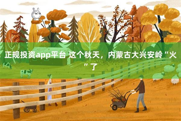 正规投资app平台 这个秋天，内蒙古大兴安岭“火”了