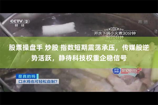 股票操盘手 炒股 指数短期震荡承压，传媒股逆势活跃，静待科技权重企稳信号
