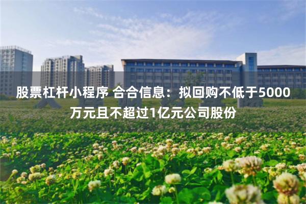 股票杠杆小程序 合合信息：拟回购不低于5000万元且不超过1亿元公司股份